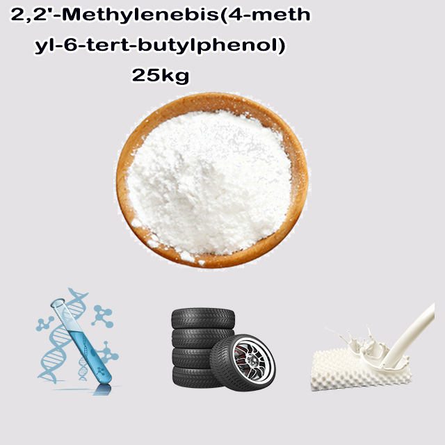 China Manufacturer 2,2'-Methylenebis(6-tert-butyl-4-methylphenol) CAS 119-47-1 for sale