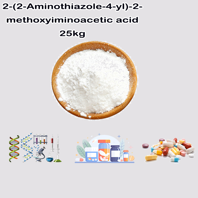 China Suppliers 2-(2-Aminothiazole-4-yl)-2-methoxyiminoacetic Acid CAS 65872-41-5