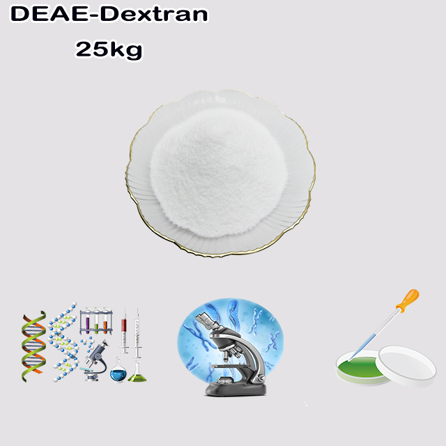China Suppliers DEAE-Dextran CAS 9015-73-0 with high quality