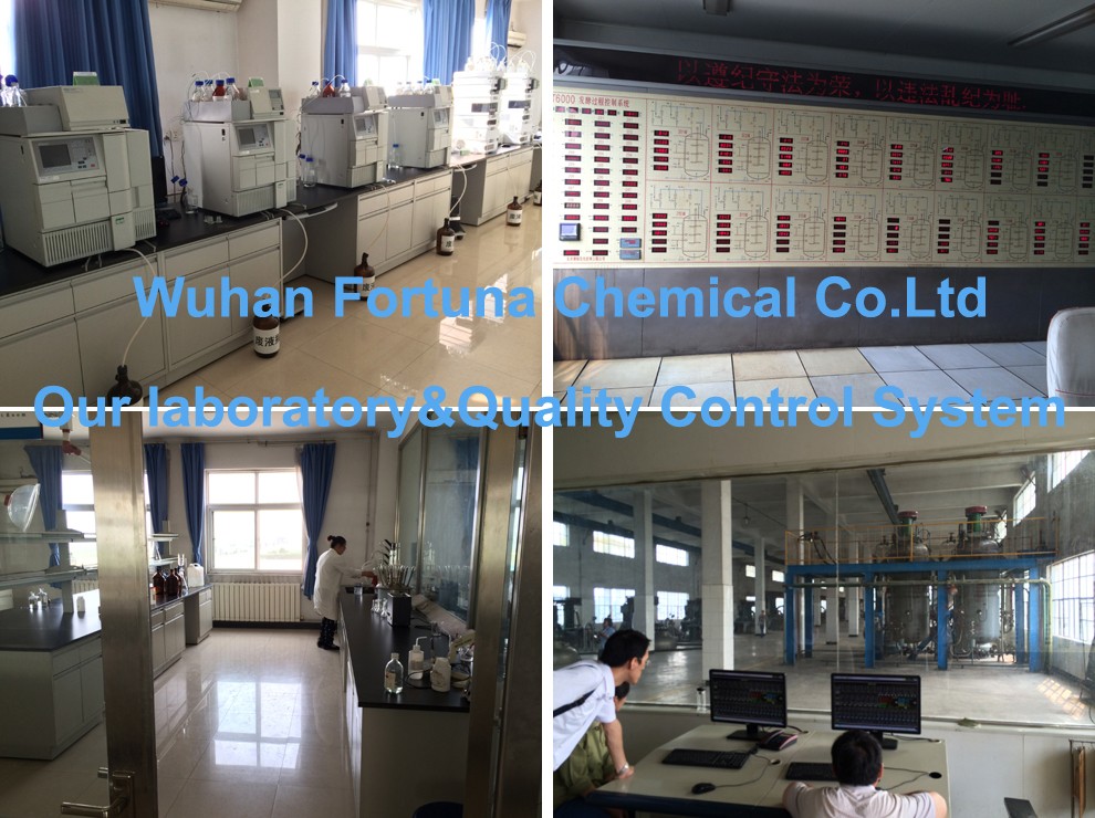 China Factory Supply 2-(2-Methoxyphenoxy)ethylamine CAS 1836-62-0 for sale