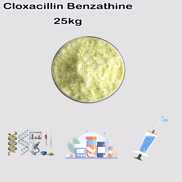 China Manufacturer Cloxacillin Benzathine CAS 23736-58-5 for sale