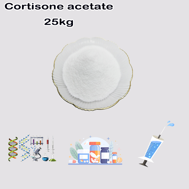 China Suppliler Cortisone Acetate CAS 50-04-4 with good price