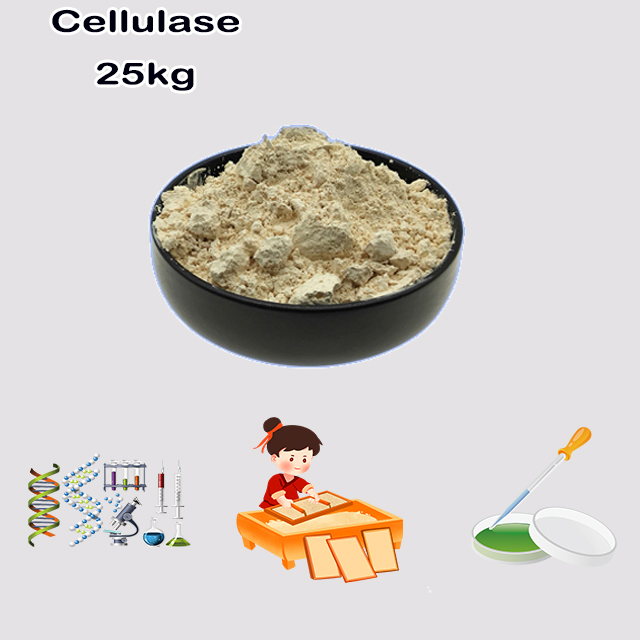 China Manufacturer hot selling Cellulase CAS 9012-54-8