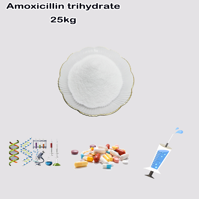 Amoxicillin Trihydrate Powder uses for dogs CAS NO 61336-70-7 Active Pharmaceutical Ingredient API