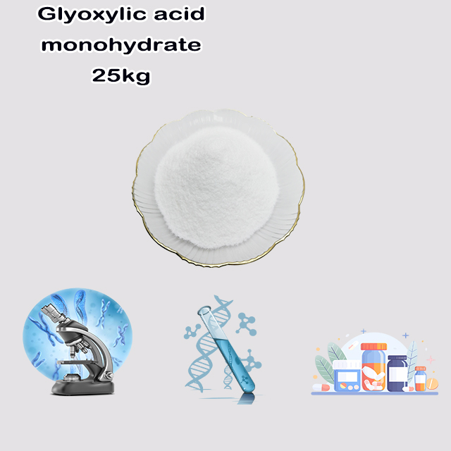 China Supplier Glyoxylic acid monohydrate CAS 563-96-2 for sale