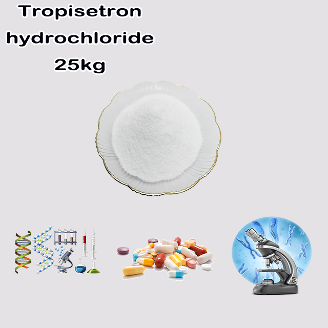 China Manufacturer Top quality Tropisetron Hydrochloride CAS 105826-92-4