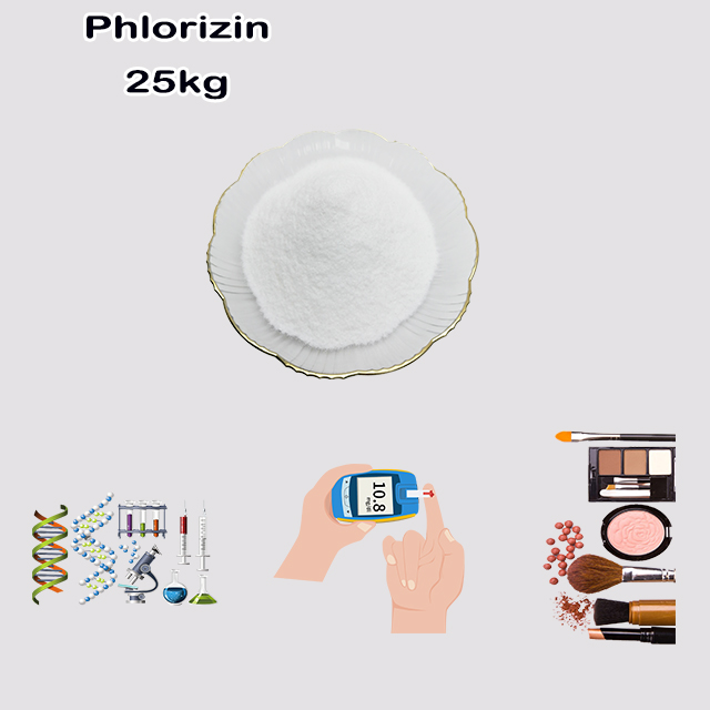 China Manufacturer High Quality Phlorizin CAS 60-81-1 for sale