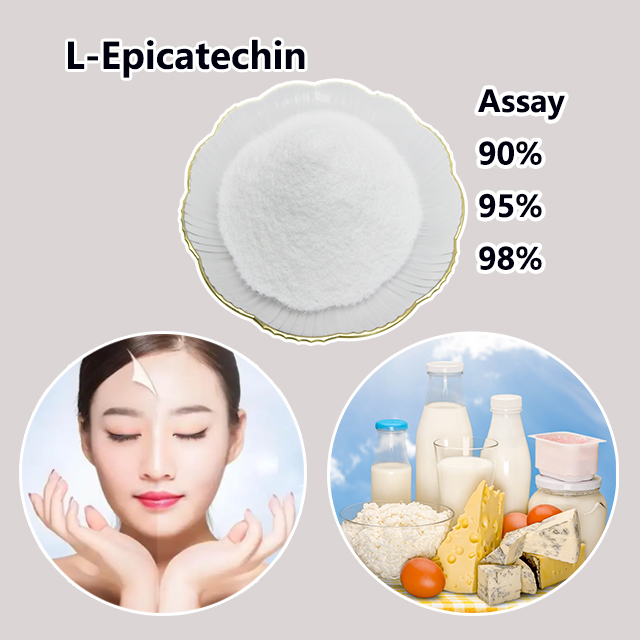 L-Epicatechin CAS 490-46-0 for sale