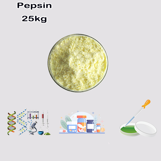 China Manufacturer Supplier Pepsin CAS 9001-75-6 with best quality