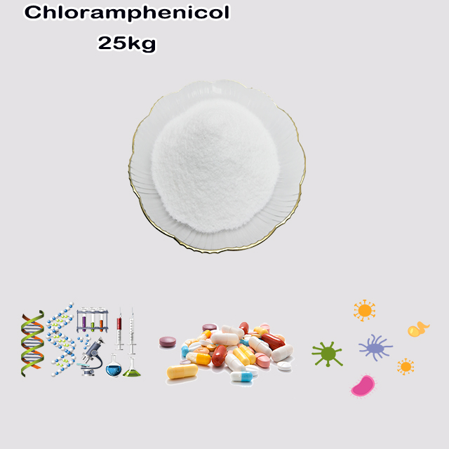 China Supplier Top Quality Chloramphenicol CAS 56-75-7