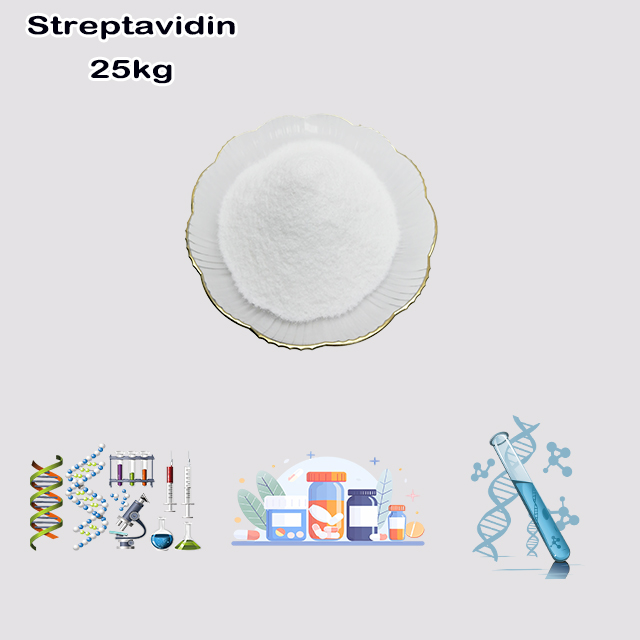 China Supplier Top Quality Streptavidin CAS 9013-20-1 with best price for sale