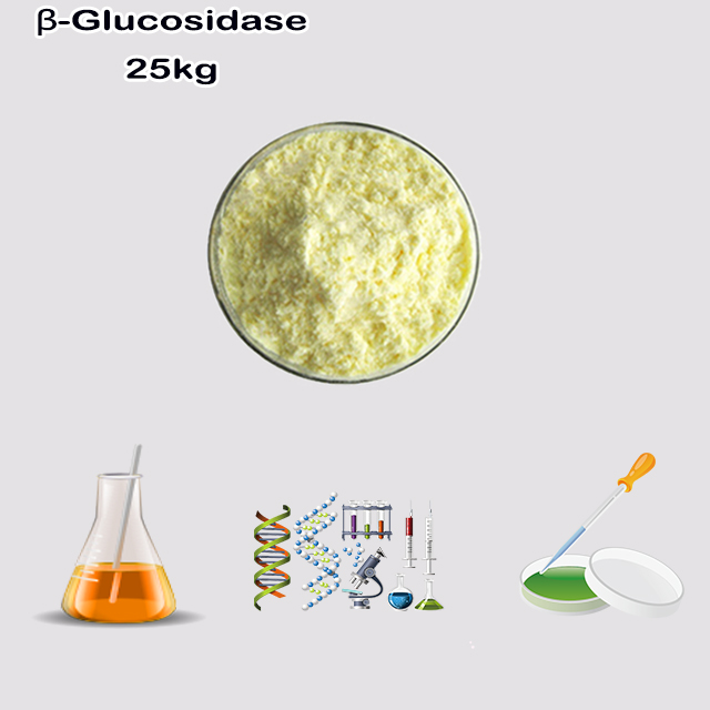 China Supplier top quality Beta-glucosidase (from Almonds) CAS 9001-22-3 with best price
