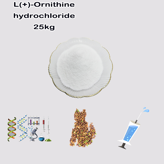 China Supplier top quality L(+)-Ornithine hydrochloride CAS 3184-13-2 for sale