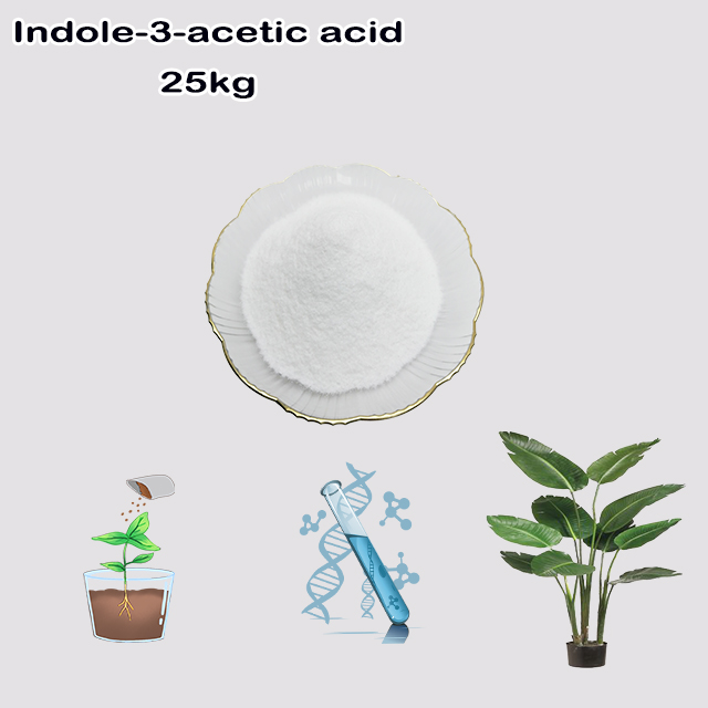 China Manufacturer High Quality 3-Indoleacetic Acid CAS 87-51-4 with best price