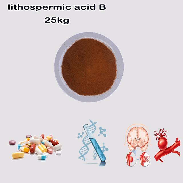 China Manufacturer Supply Hot Selling lithospermic acid B CAS 121521-90-2 for sale