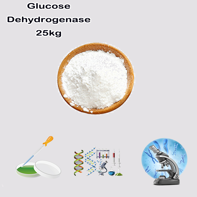 China Manufacturer Hot Selling Top Quality Glucose Dehydrogenase CAS 9028-53-9