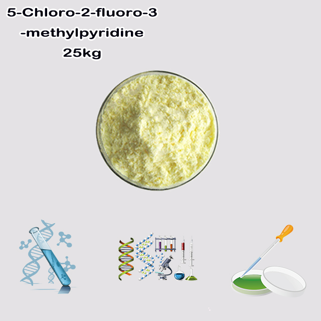 China Supplier High Quality 5-Chloro-2-fluoro-3-methylpyridine CAS 375368-84-6 for sale