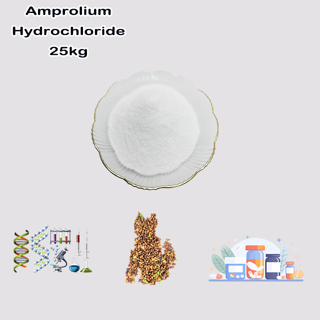 China Manufacturer 1-([4-Amino-2-propyl-5-pyrimidinyl]methyl)-2-methylpyridinium Chloride CAS 137-88-2 for sale