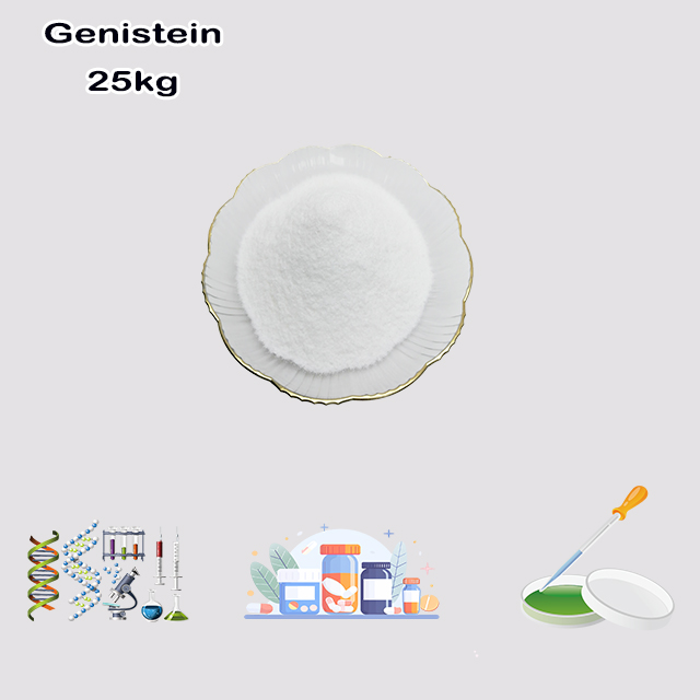 China Supplier Hot Selling Best Price Genistein CAS 446-72-0 for sale