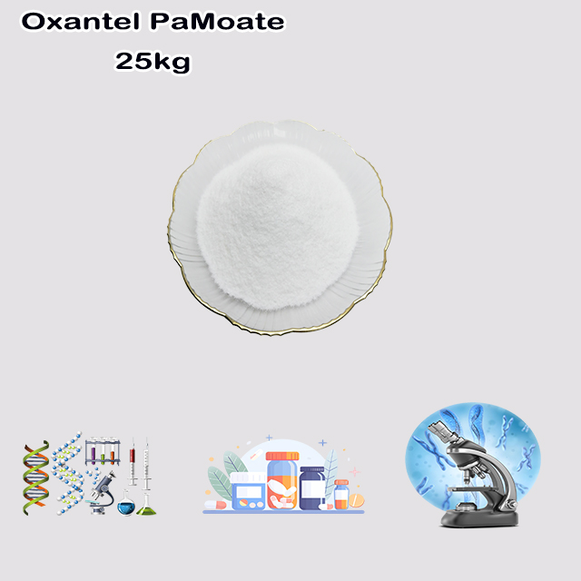 China Supplier High Quality Oxantel PaMoate CAS 68813-55-8 with good service for sale