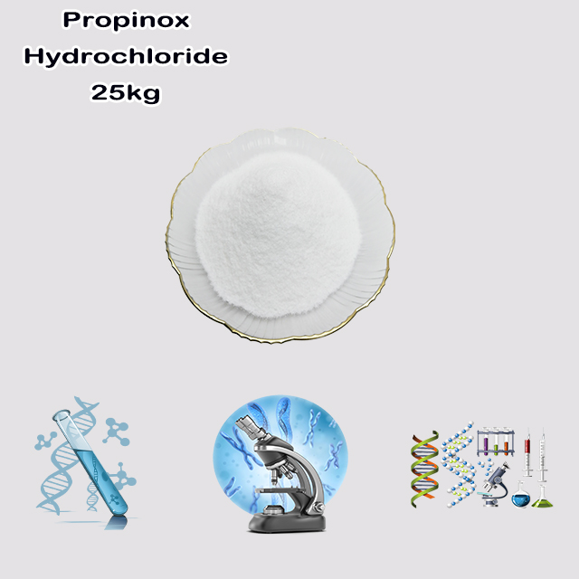 China Manufacturer Top Quality Best Price Propinox Hydrochloride CAS 2765-97-1 for sale