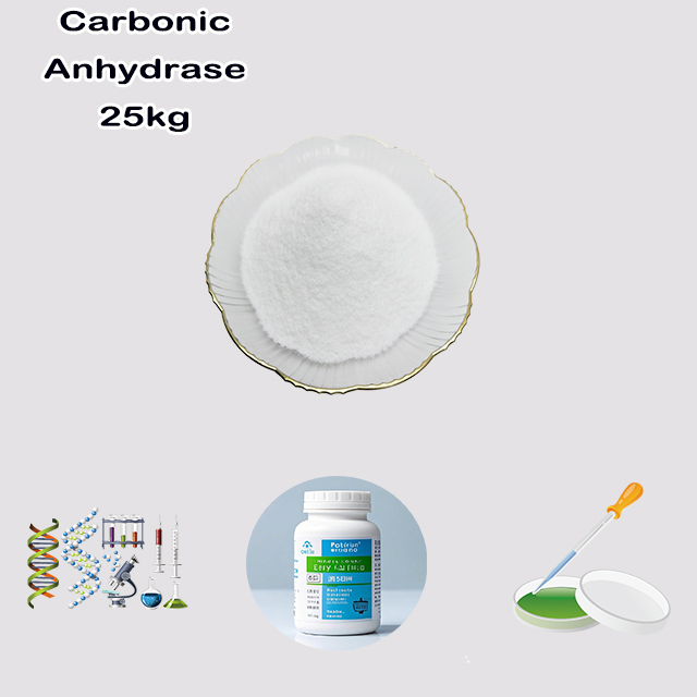 China Manufacturer High Quality Carbonic Anhydrase CAS 9001-03-0 with good price for sale