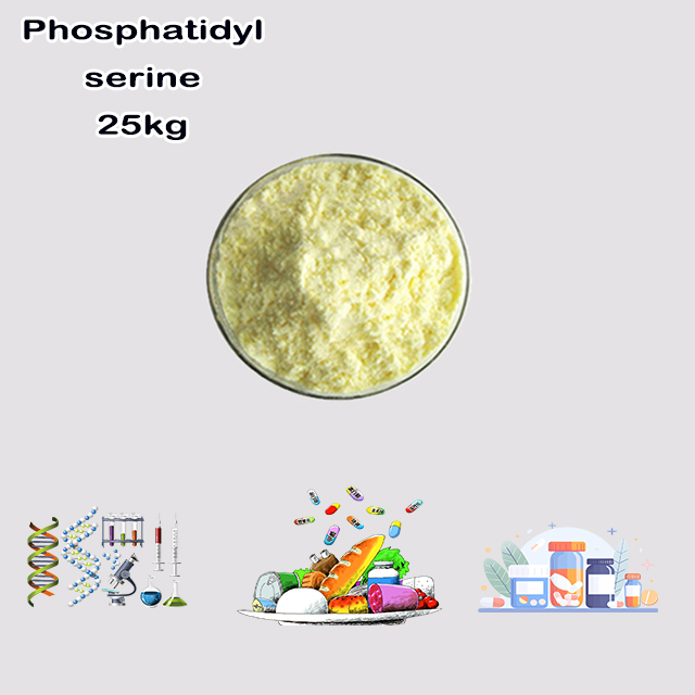 China Supplier Hot Sale High Purity Phosphatidylserine CAS 51446-62-9