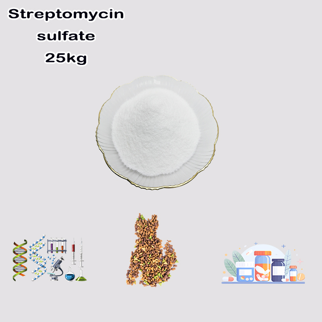 China Factory Supply High Quality Streptomycin Sulfate CAS 3810-74-0