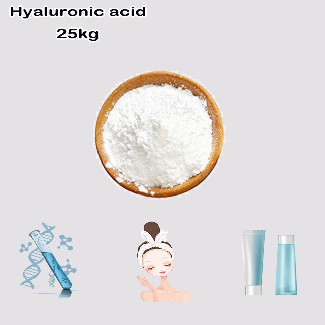 China Factory Supply High Purity Hyaluronic Acid CAS 9004-61-9