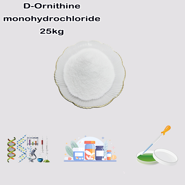 China Supplier High Quality Good Service D-Ornithine monohydrochloride CAS 16682-12-5 for sale