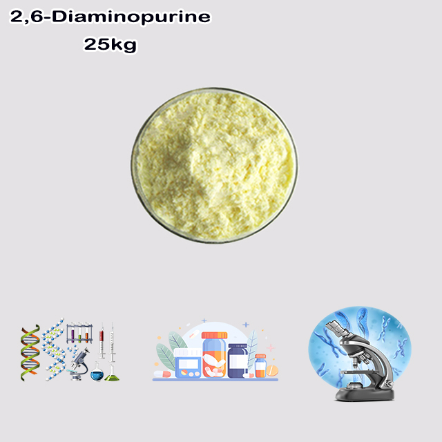 China Supplier Hot Sale Best Quality 2,6-Diaminopurine CAS 1904-98-9 for sale