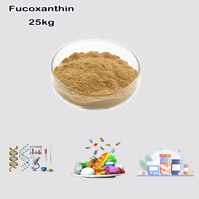 China Supplier Hot Selling High Purity Fucoxanthin CAS 3351-86-8