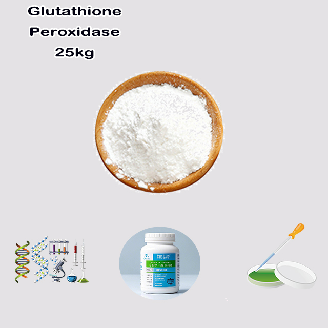 China Supplier Good Service Best Price Glutathione Peroxidase CAS 9013-66-5 for sale