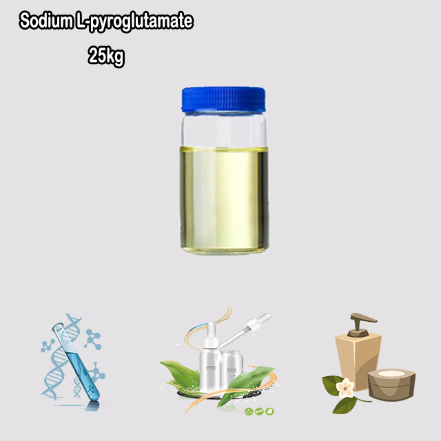 China Factory Supply High Quality Sodium PCA Liquid CAS 28874-51-3 with good price
