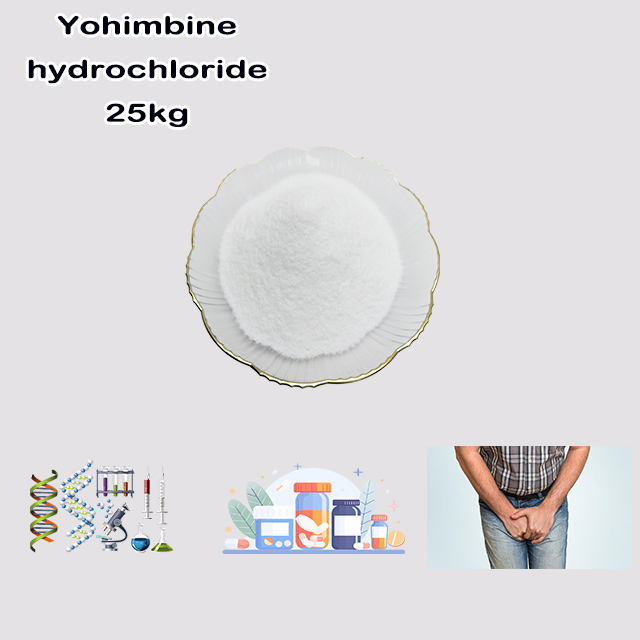 China Supplier High Quality Yohimbine Hydrochloride CAS 65-19-0 the field of medicine