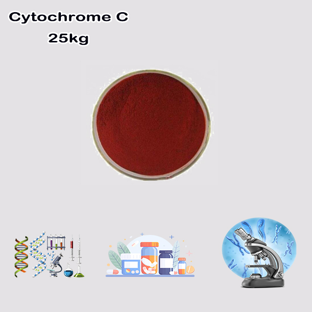 China Supplier High Quality Wholesale Price Cytochrome C CAS 9007-43-6 for sale