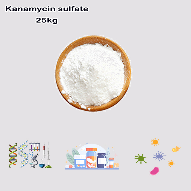 China Manufacturer Supply High Quality Kanamycin Monosulfate CAS 25389-94-0