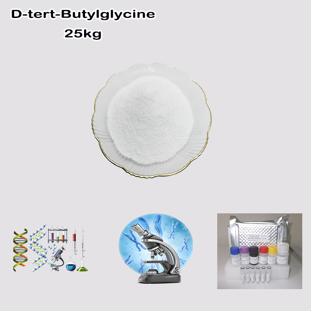 China Factory Supply High Purity D-tert-Butylglycine CAS 26782-71-8 for sale