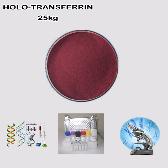 China Factory Supplier High Purity Wholesale Price Holo-transferrin CAS 11096-37-0
