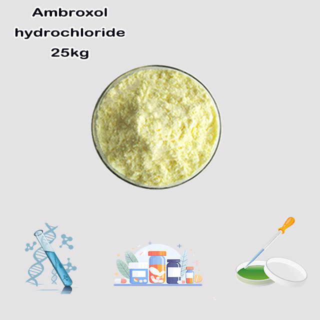 China Factory Supply High Quality Best Price Ambroxol Hydrochloride CAS 23828-92-4