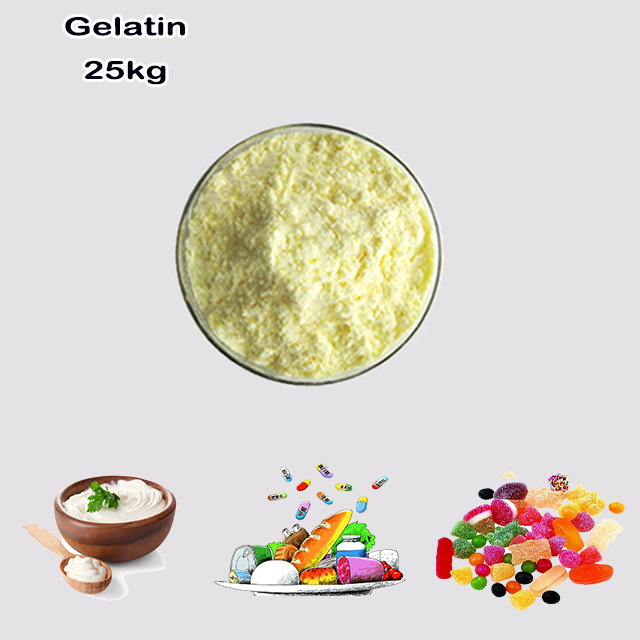 China Factory Supply High Quality Best Price Gelatin CAS 9000-70-8