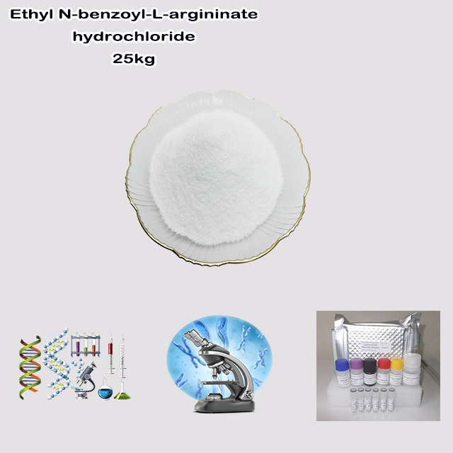 China Factory Supplier High Quality Ethyl N-benzoyl-L-argininate hydrochloride CAS 2645-08-1