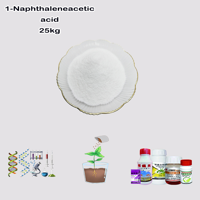 China Supplier High Quality Best Price Alpha Naphthaleneacetic Acid CAS 86-87-3