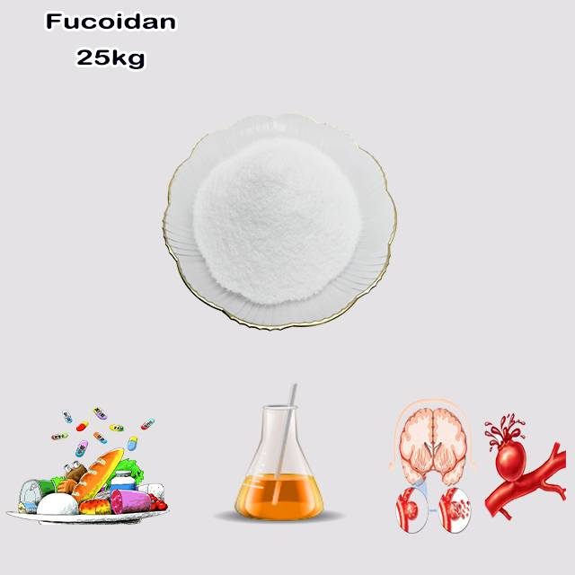 Factory Supply Good Service High Purity Fucoidan CAS 9072-19-9 for sale
