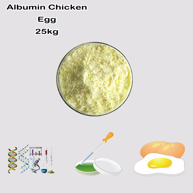 China Supplier High Quality Best Price Ovalbumin Egg CAS NO 9006-59-1 for sale