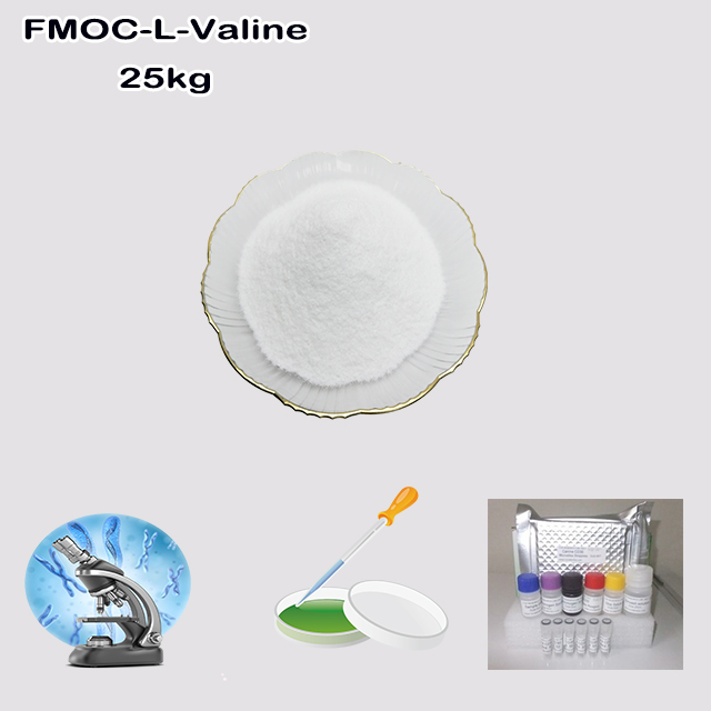 China Supplier High Quality Best Price FMOC-L-Valine CAS 68858-20-8
