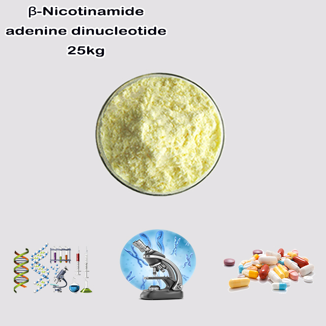 China Supplier High Quality Best Price Nicotinamide Adenine Dinucleotide (NAD) CAS 53-84-9