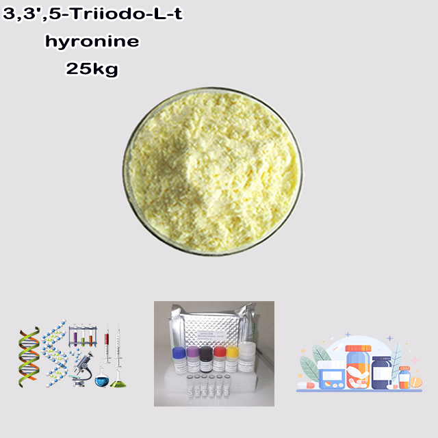 China Supplier High Quality Best Price Liothyronine CAS 6893-02-3