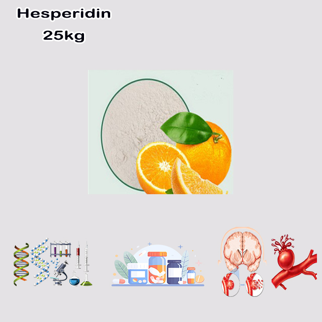 China Manufacturer High Purity Wholesale Price Hesperidin CAS 520-26-3 for sale