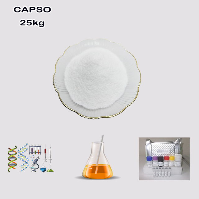 China Supplier High Quality CAPSO/ 3-(Cyclohexylamino)-2-hydroxy-1-propanesulfonic Acid CAS 73463-39-5